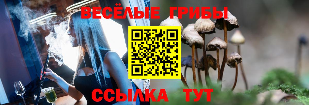 Первоуральск  Галлюциногенные грибы Magic Shrooms  хочу наркоту  Вход с VPN 